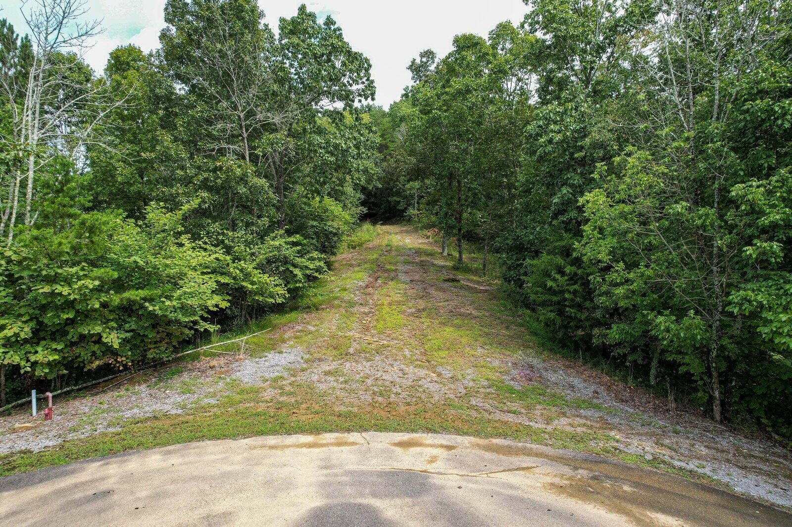 125 Fox Trail Drive Old Fort TN 37362