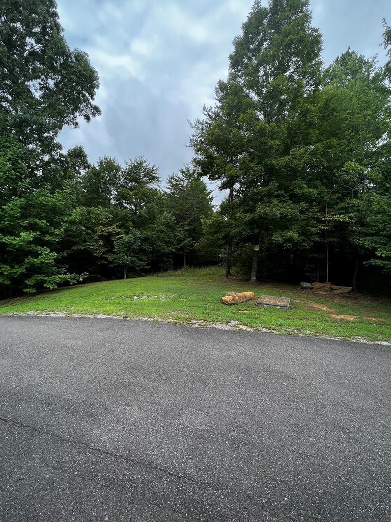 125 Fox Trail Drive Old Fort TN 37362