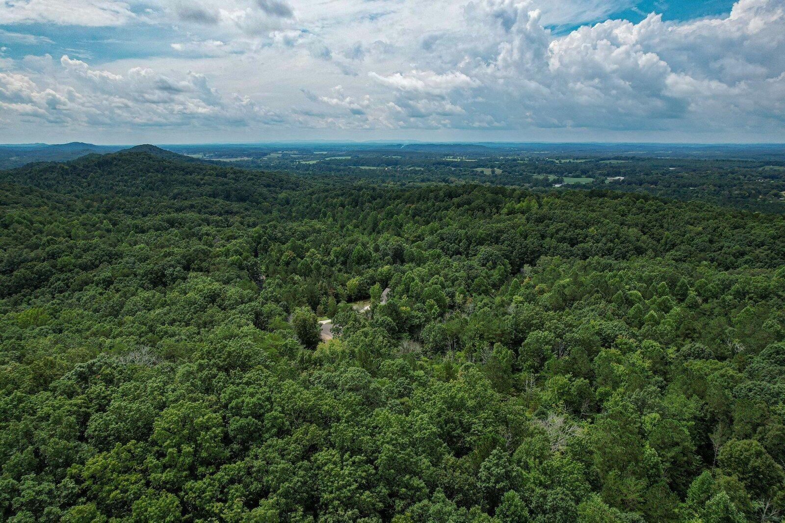 125 Fox Trail Drive Old Fort TN 37362