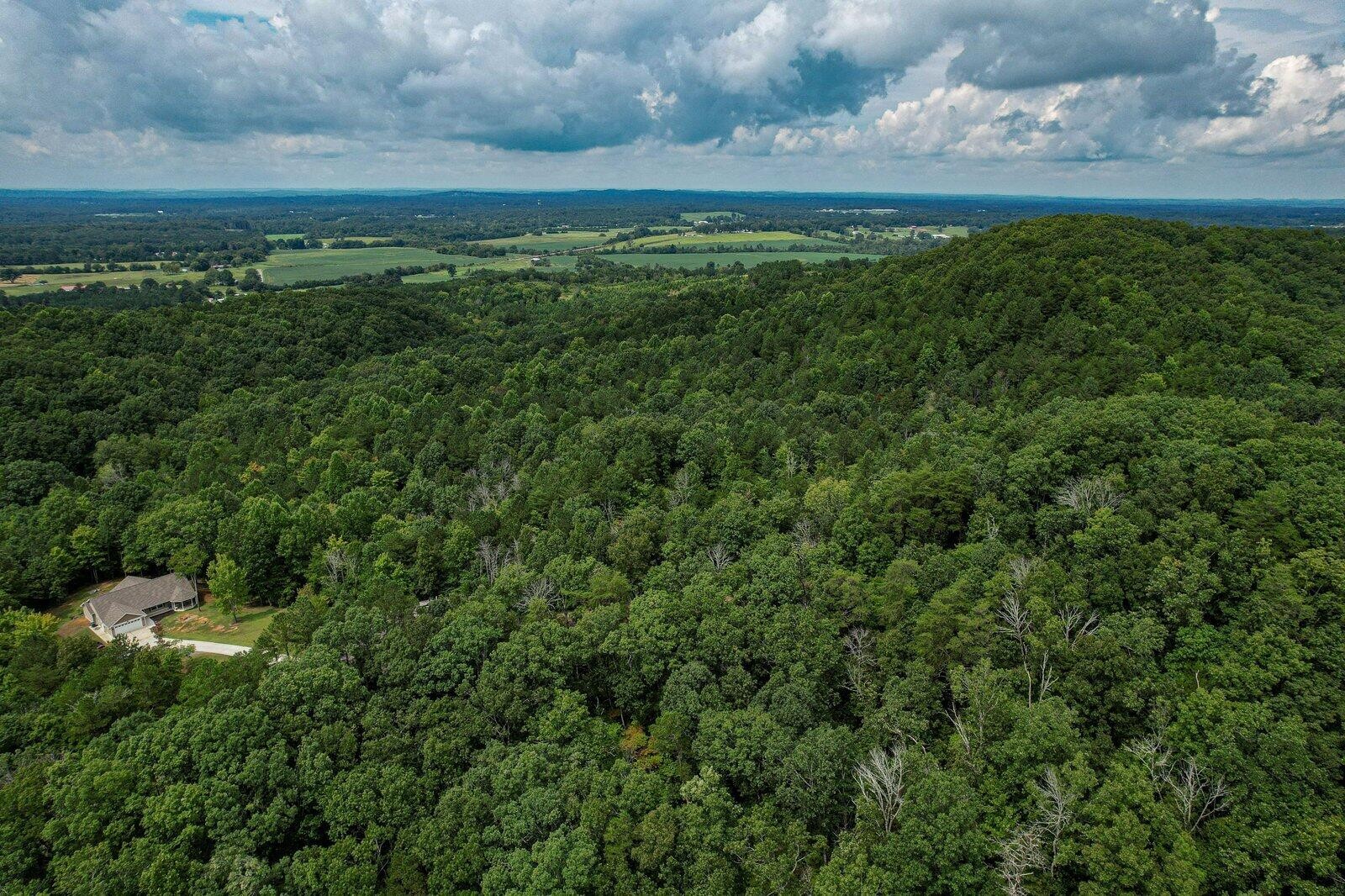 125 Fox Trail Drive Old Fort TN 37362