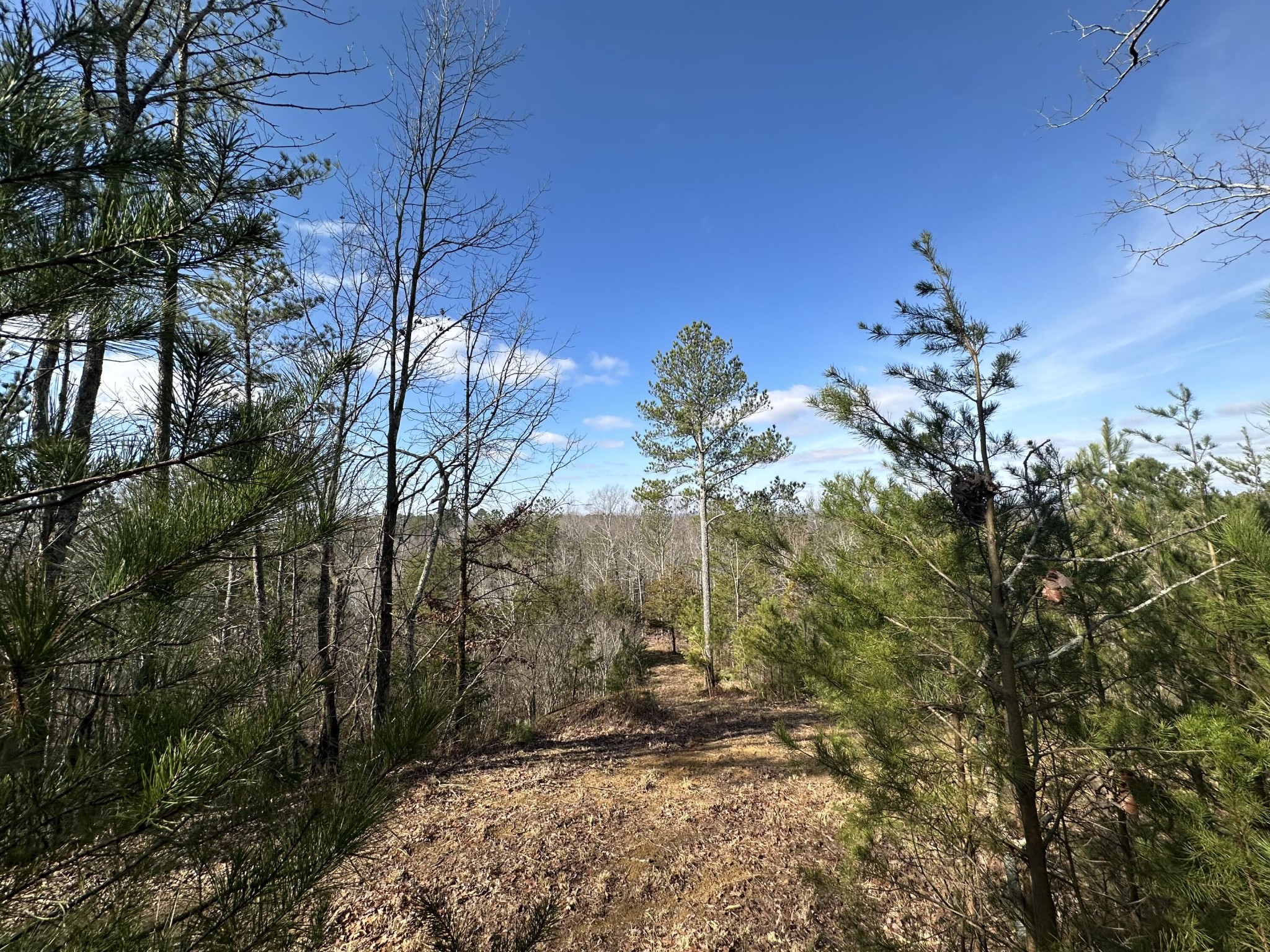 125 Fox Trail Drive Old Fort TN 37362
