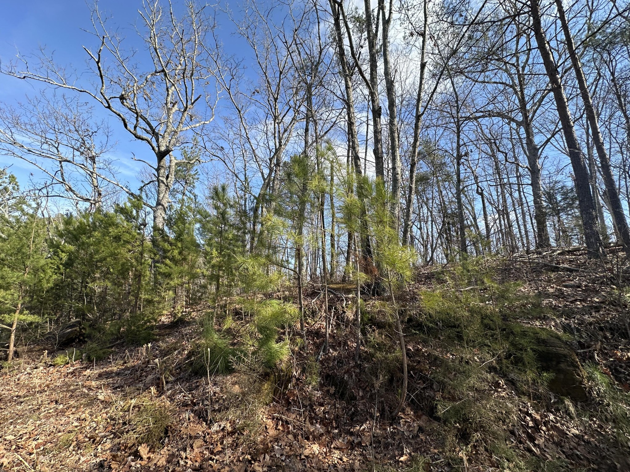 125 Fox Trail Drive Old Fort TN 37362