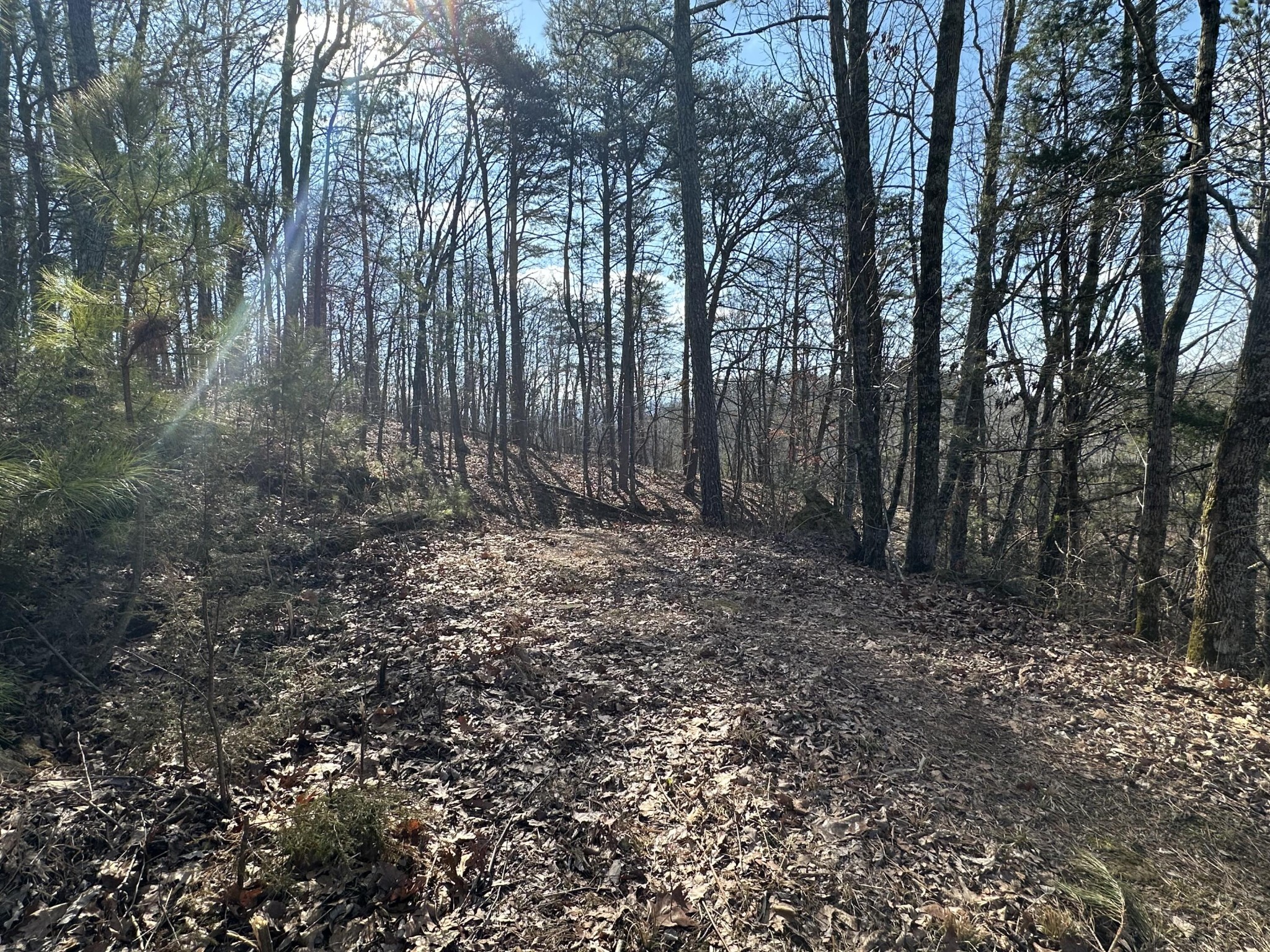 125 Fox Trail Drive Old Fort TN 37362