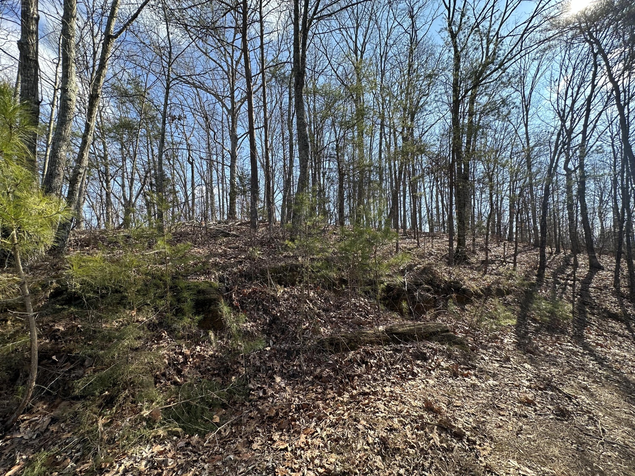 125 Fox Trail Drive Old Fort TN 37362