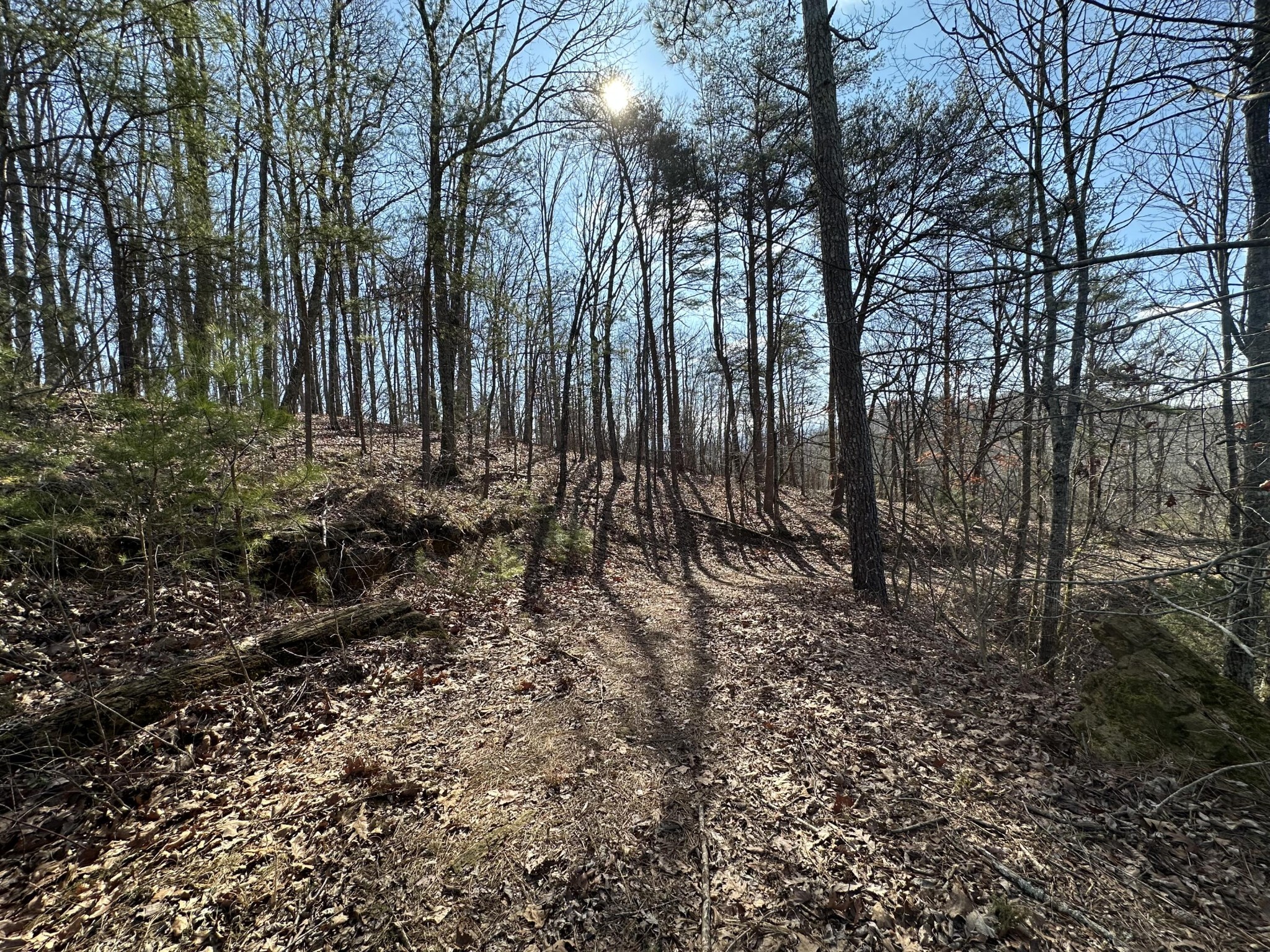 125 Fox Trail Drive Old Fort TN 37362