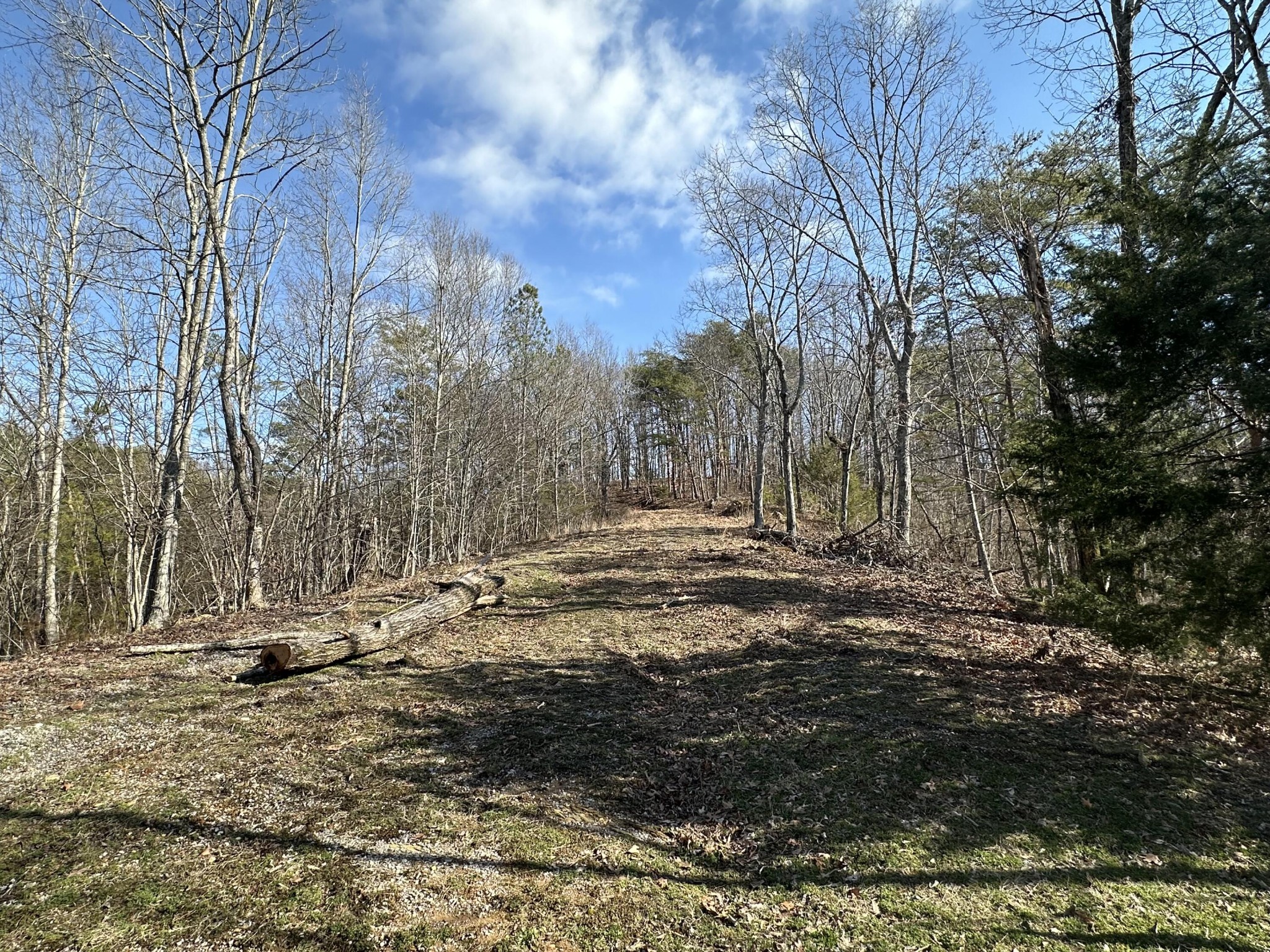125 Fox Trail Drive Old Fort TN 37362