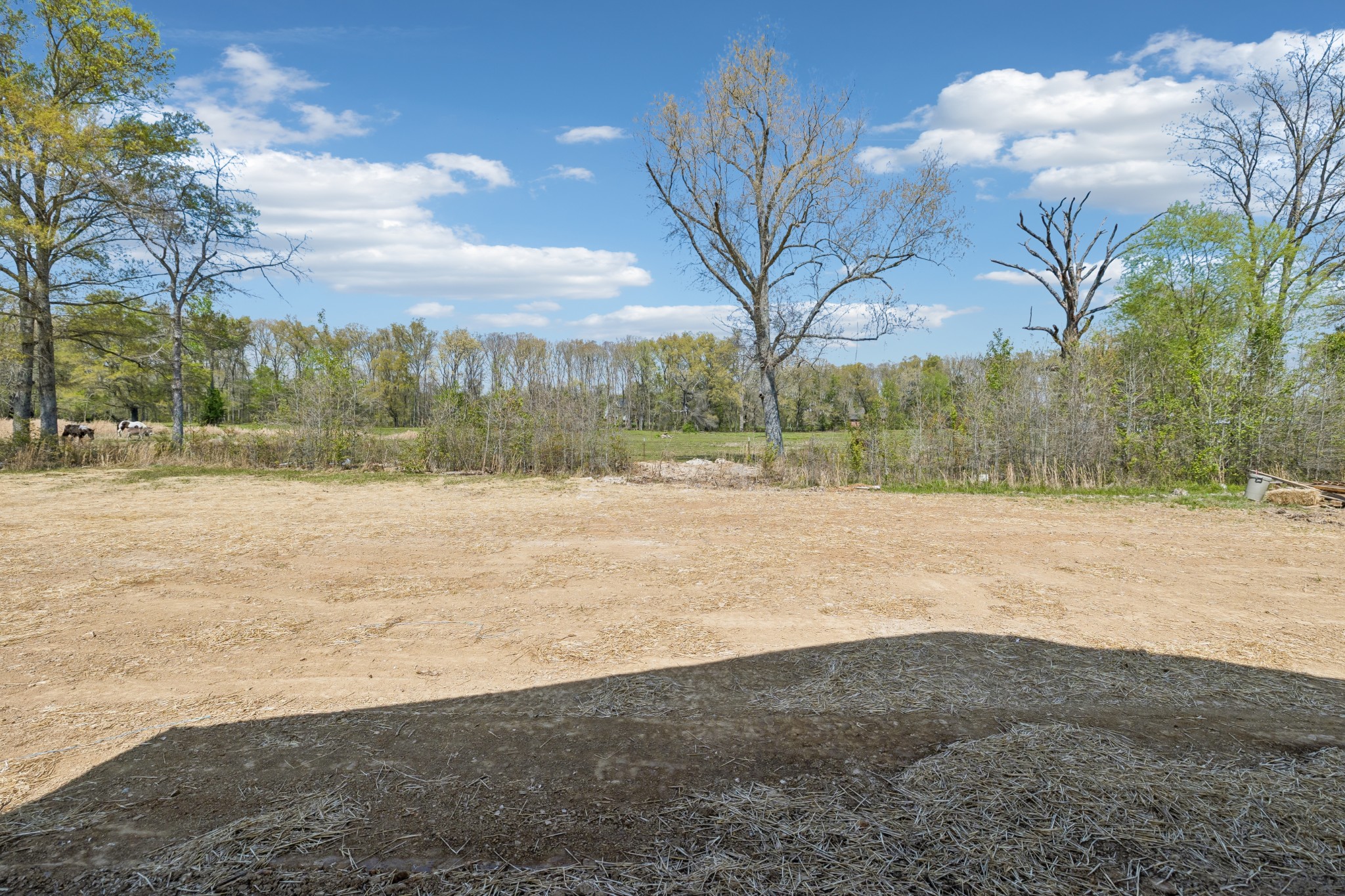 190 Green Meadow Drive Smithville TN 37166