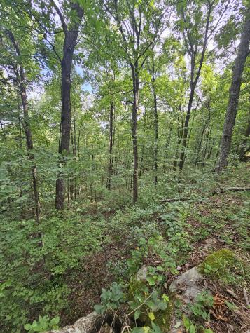 0 60th Ave, S Gruetli Laager TN 37339