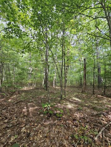 0 60th Ave, S Gruetli Laager TN 37339