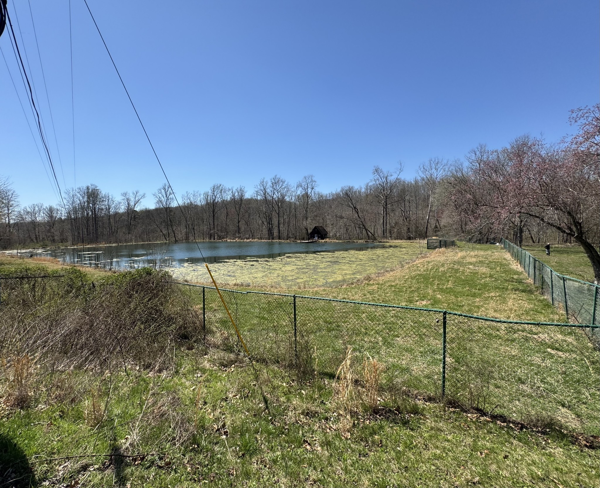 191 Forks River Road Waverly TN 37185
