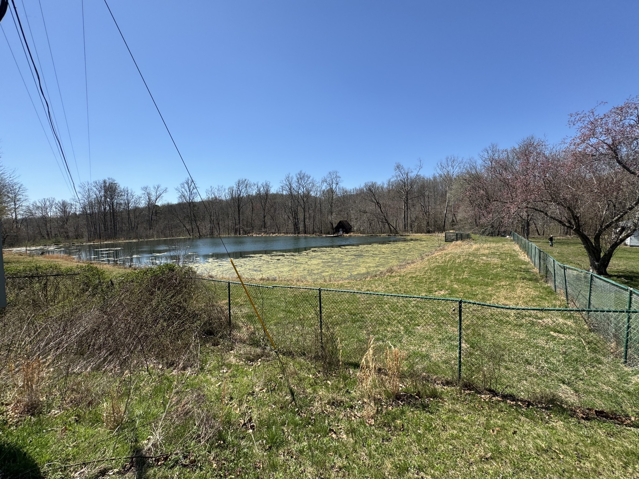 191 Forks River Road Waverly TN 37185