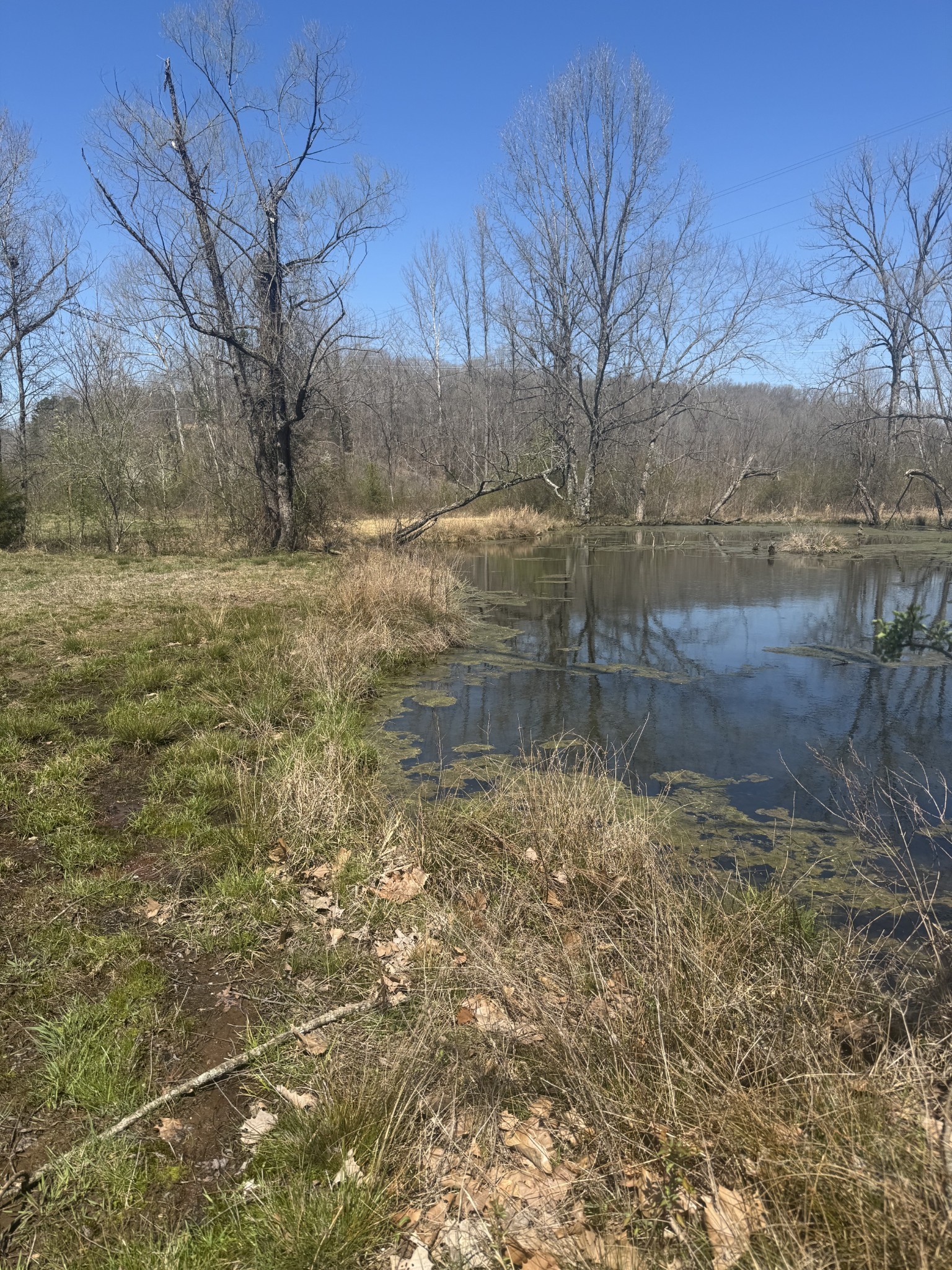 191 Forks River Road Waverly TN 37185