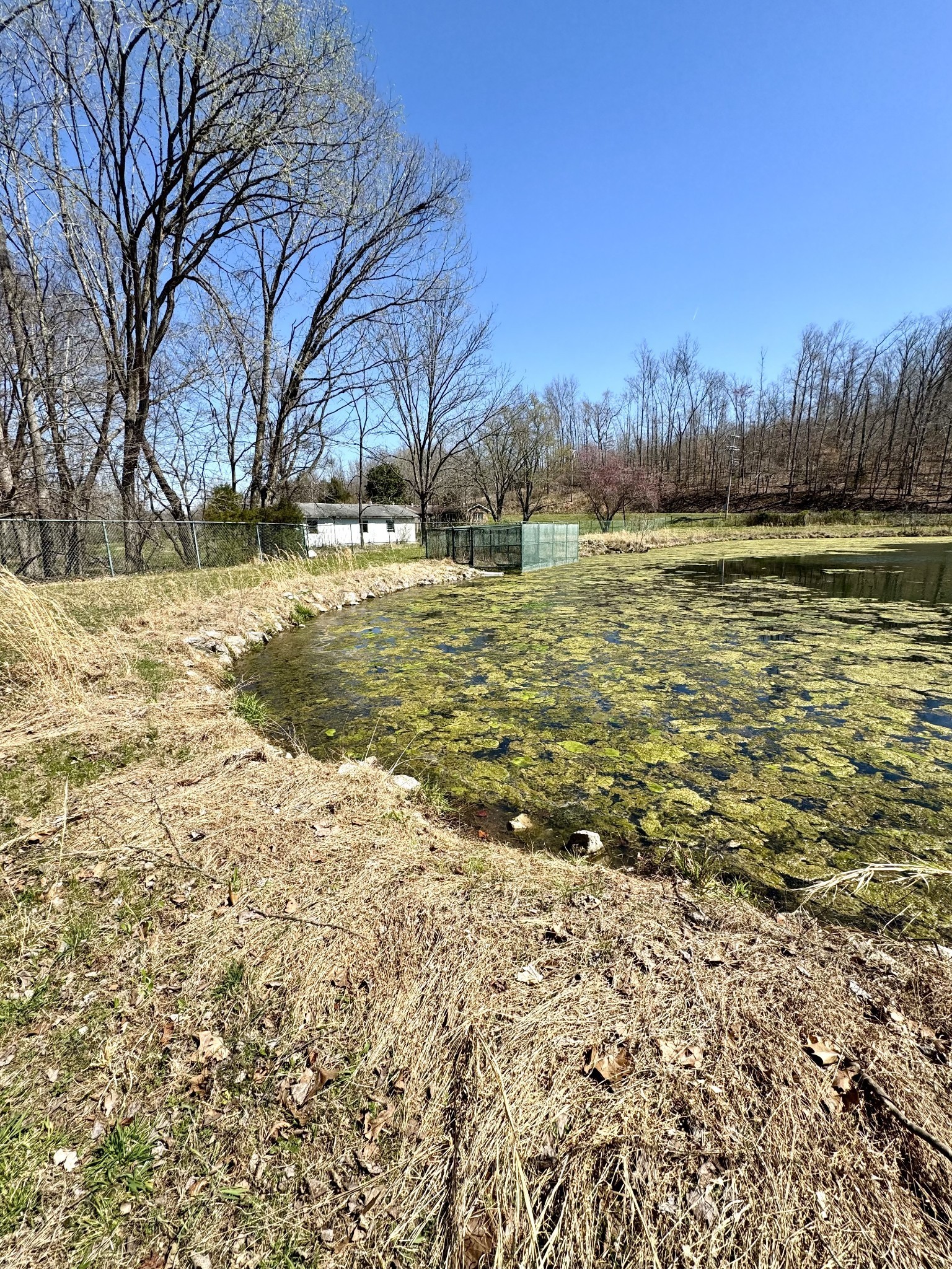 191 Forks River Road Waverly TN 37185