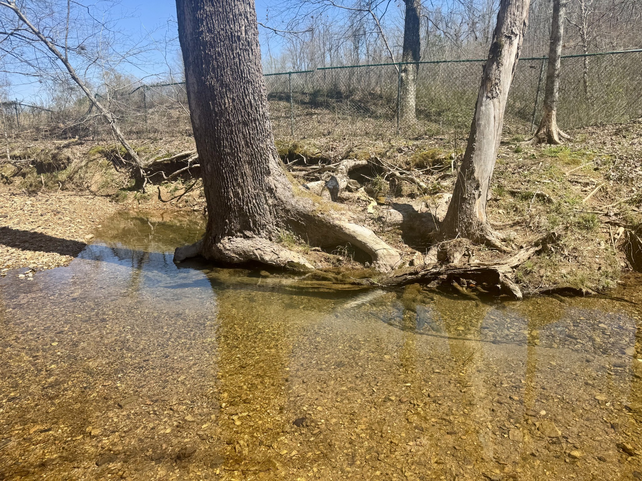 191 Forks River Road Waverly TN 37185