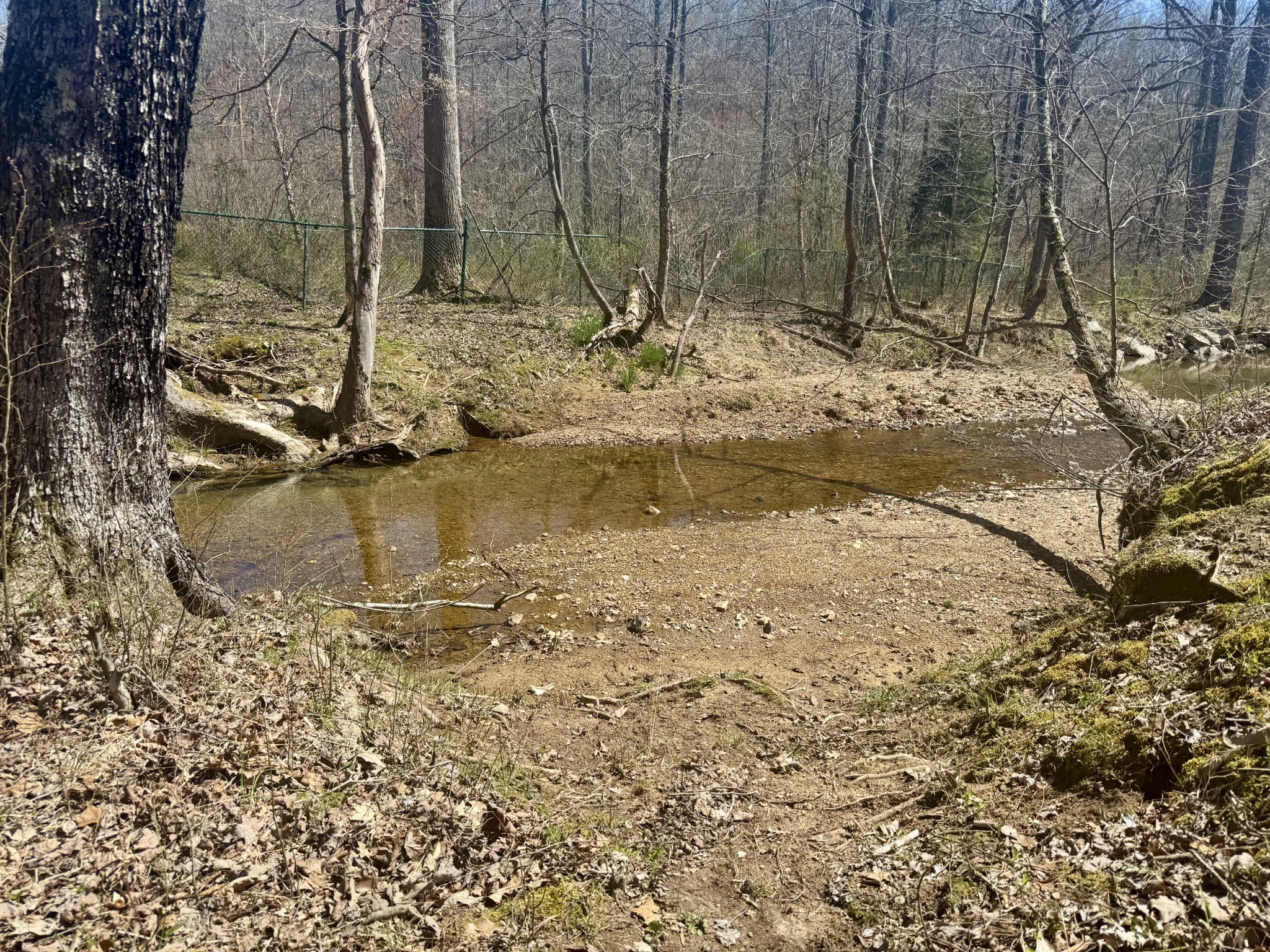 191 Forks River Road Waverly TN 37185