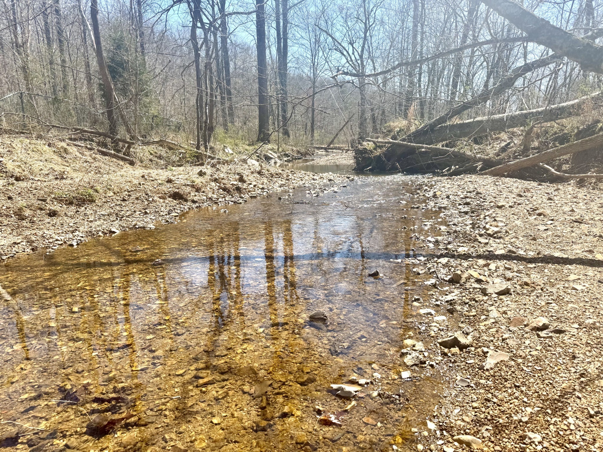 191 Forks River Road Waverly TN 37185