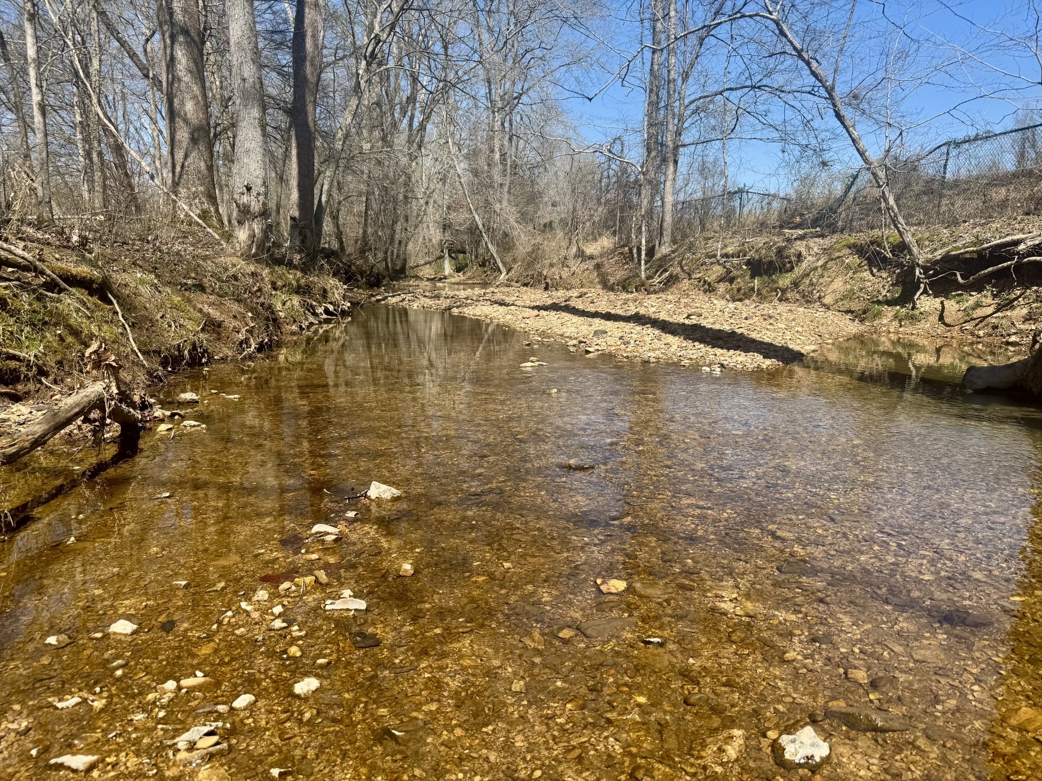 191 Forks River Road Waverly TN 37185