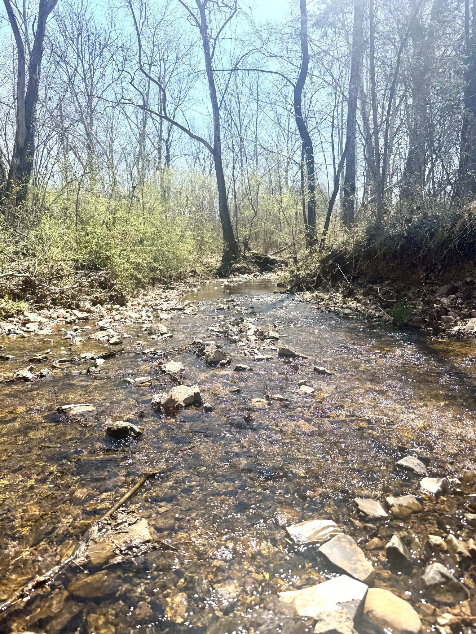 191 Forks River Road Waverly TN 37185