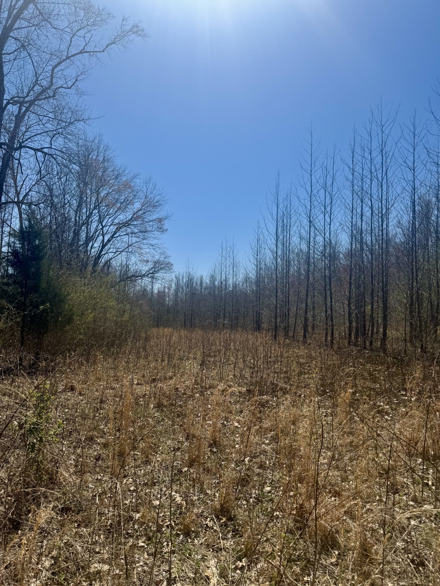 191 Forks River Road Waverly TN 37185