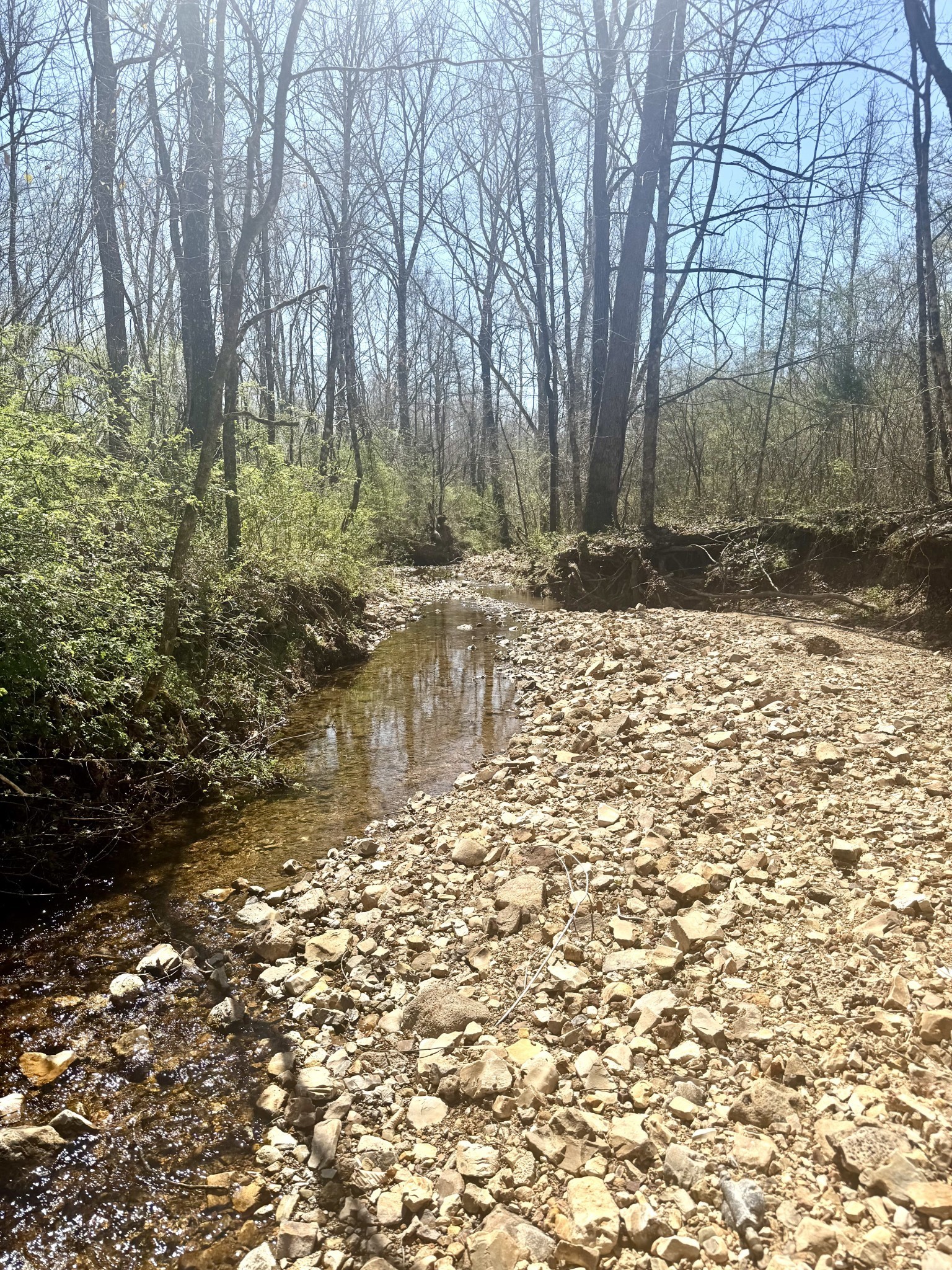 191 Forks River Road Waverly TN 37185