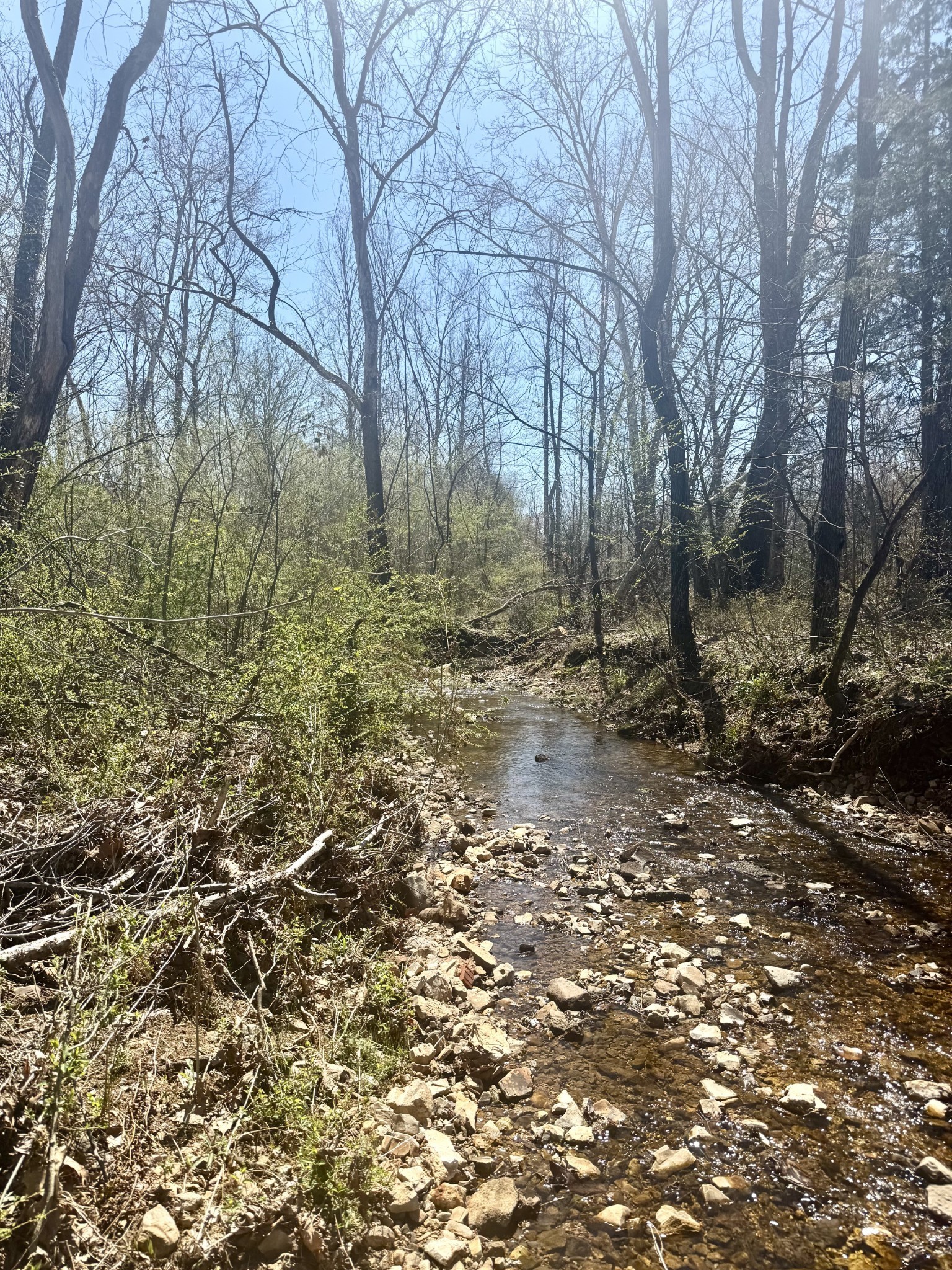 191 Forks River Road Waverly TN 37185