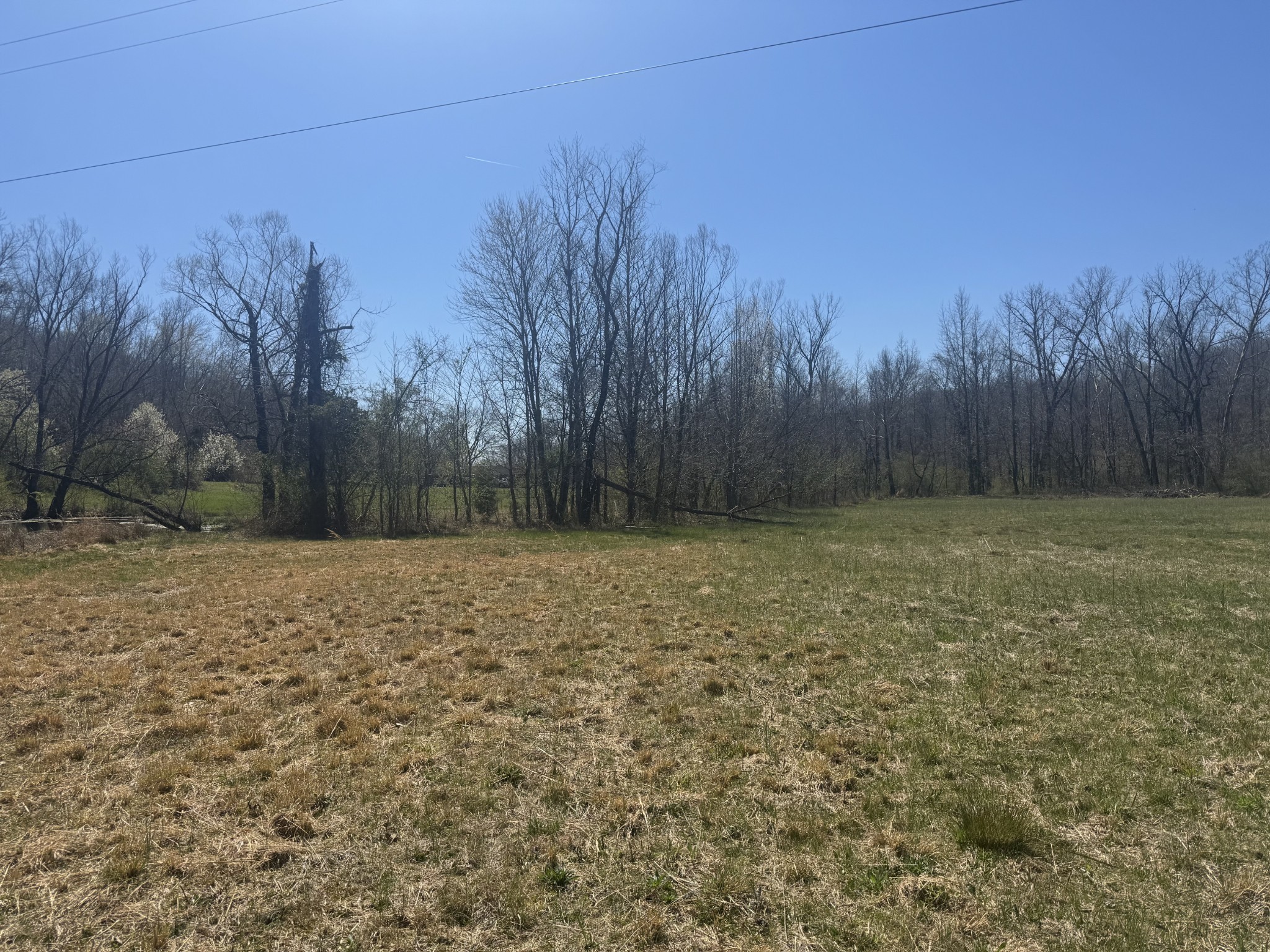 191 Forks River Road Waverly TN 37185