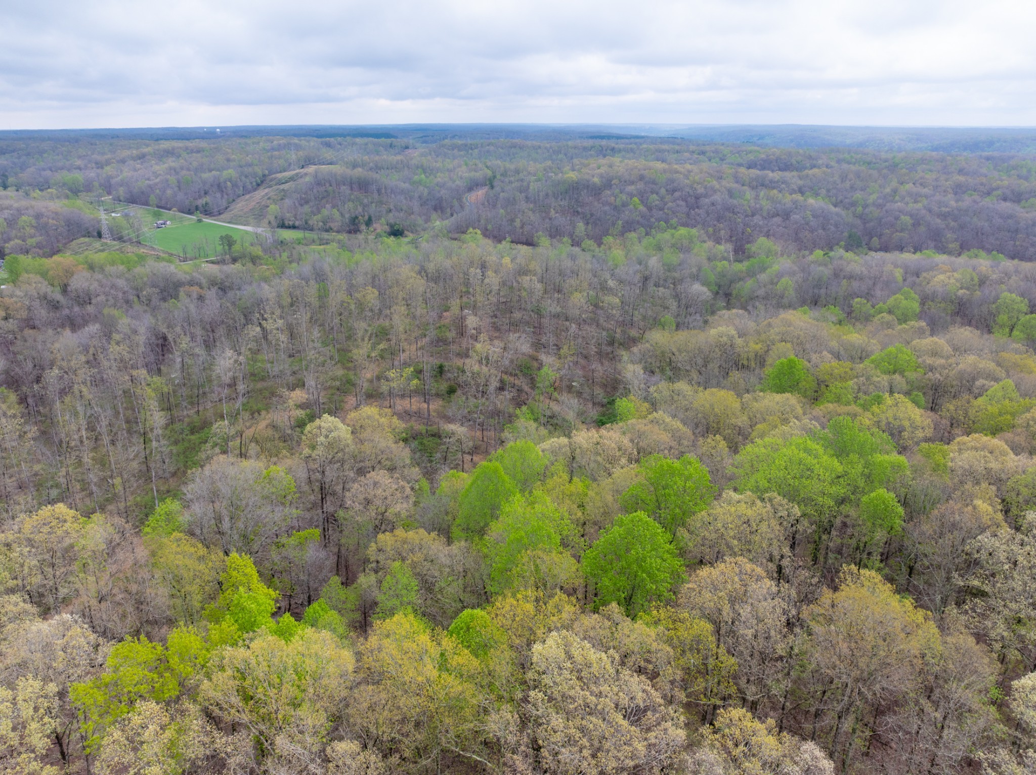 191 Forks River Road Waverly TN 37185