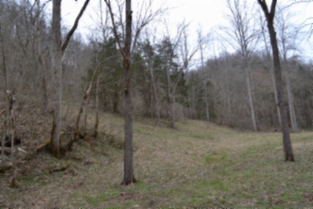290 Hazel Huffines Lane Whitleyville TN 38588