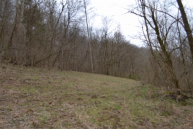 290 Hazel Huffines Lane Whitleyville TN 38588