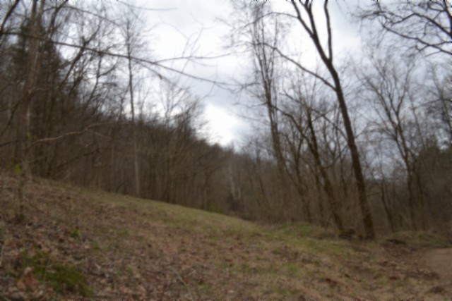 290 Hazel Huffines Lane Whitleyville TN 38588
