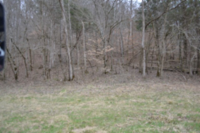 290 Hazel Huffines Lane Whitleyville TN 38588