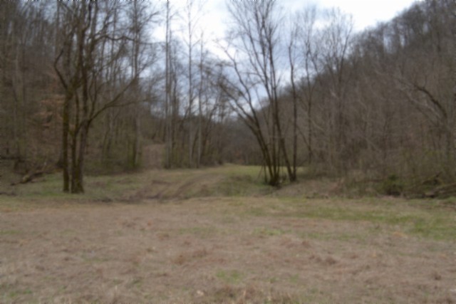 290 Hazel Huffines Lane Whitleyville TN 38588
