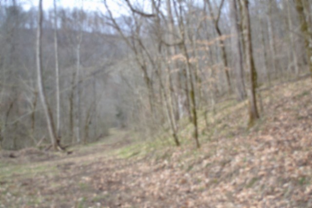 290 Hazel Huffines Lane Whitleyville TN 38588