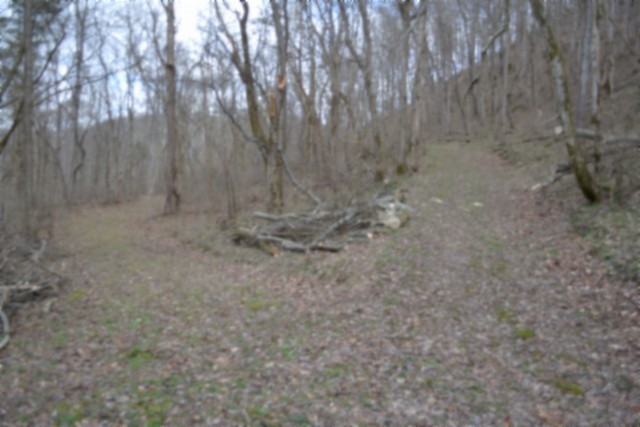 290 Hazel Huffines Lane Whitleyville TN 38588