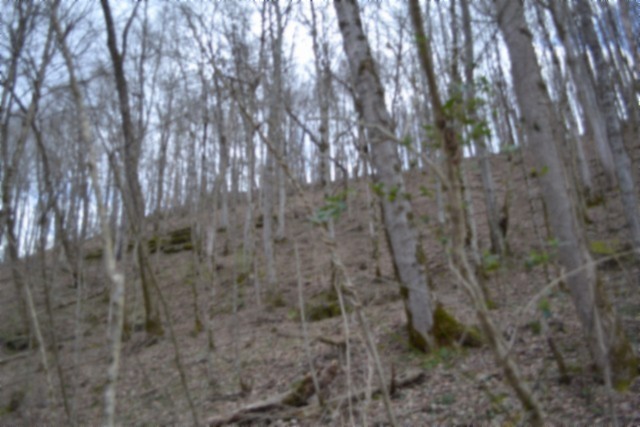 290 Hazel Huffines Lane Whitleyville TN 38588