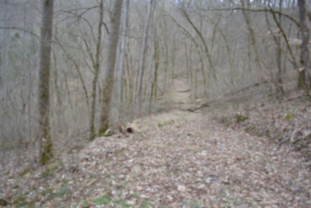 290 Hazel Huffines Lane Whitleyville TN 38588