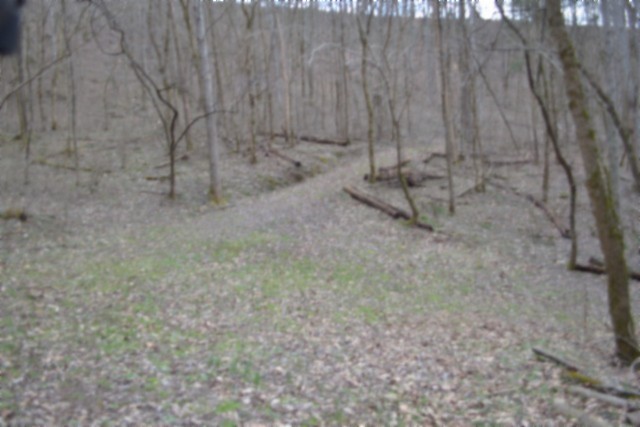 290 Hazel Huffines Lane Whitleyville TN 38588