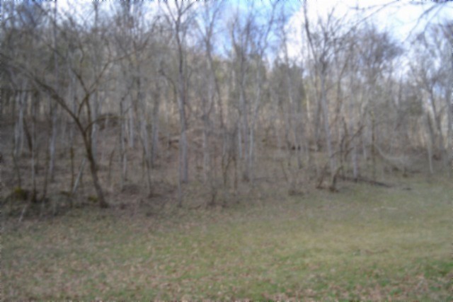 290 Hazel Huffines Lane Whitleyville TN 38588