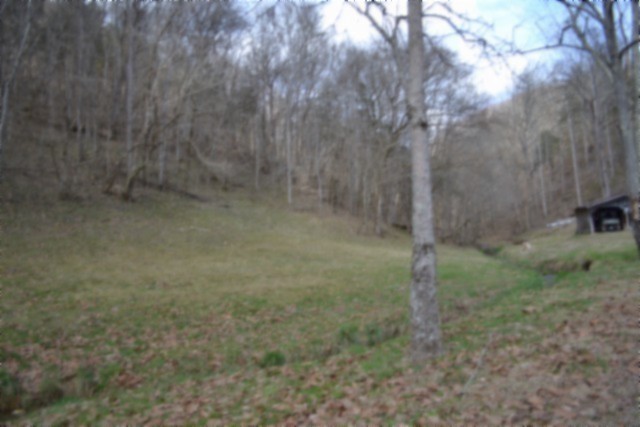 290 Hazel Huffines Lane Whitleyville TN 38588