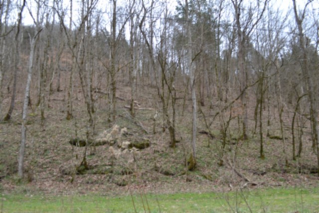 290 Hazel Huffines Lane Whitleyville TN 38588