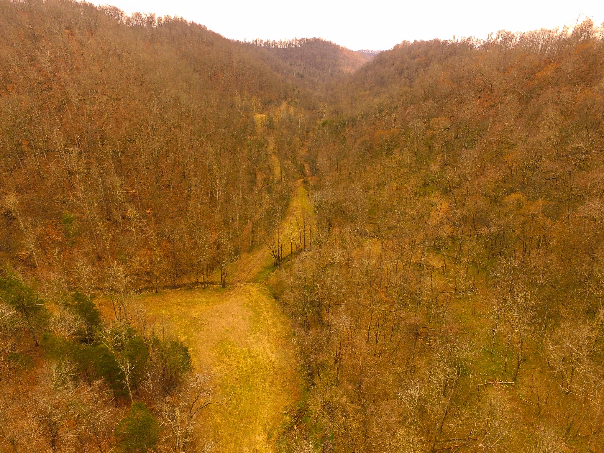 290 Hazel Huffines Lane Whitleyville TN 38588