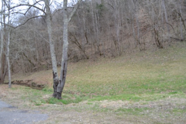290 Hazel Huffines Lane Whitleyville TN 38588