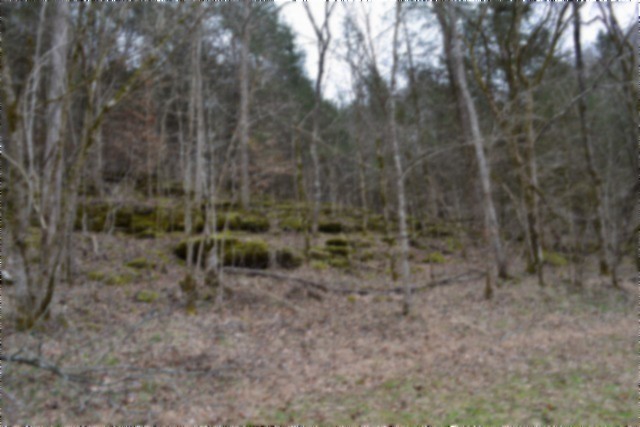 290 Hazel Huffines Lane Whitleyville TN 38588