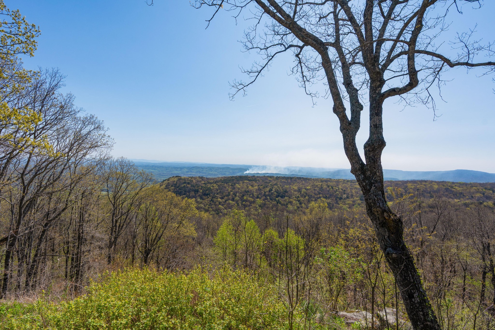 12855 Highway 157 Rising Fawn GA 30738