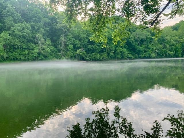 253 Hiawassee Ln, NW Celina TN 38551