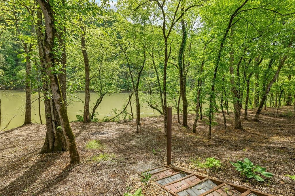 253 Hiawassee Ln, NW Celina TN 38551