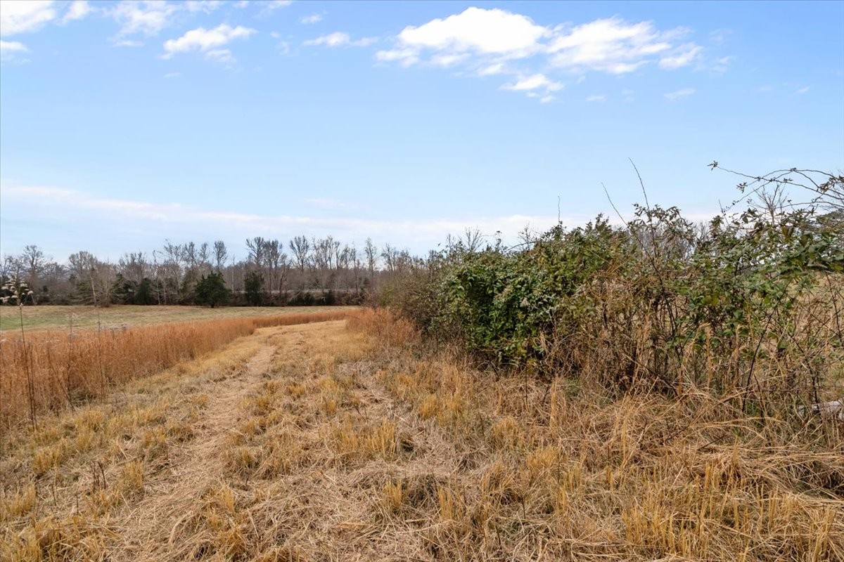 0 Polley Willey Road Dickson TN 37055