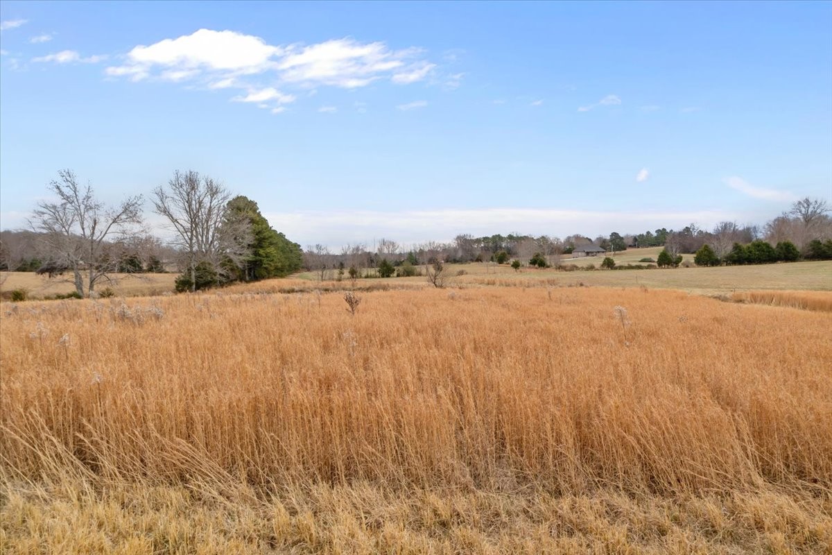 0 Polley Willey Road Dickson TN 37055