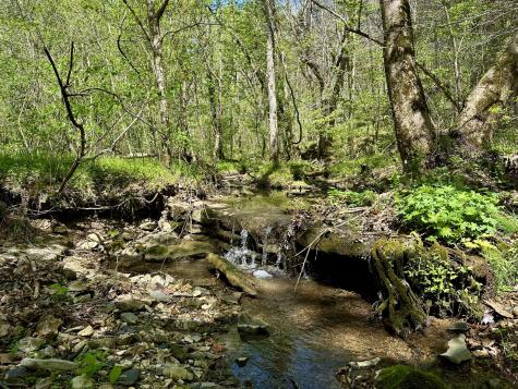 0 Ponder Road Smithville TN 37166