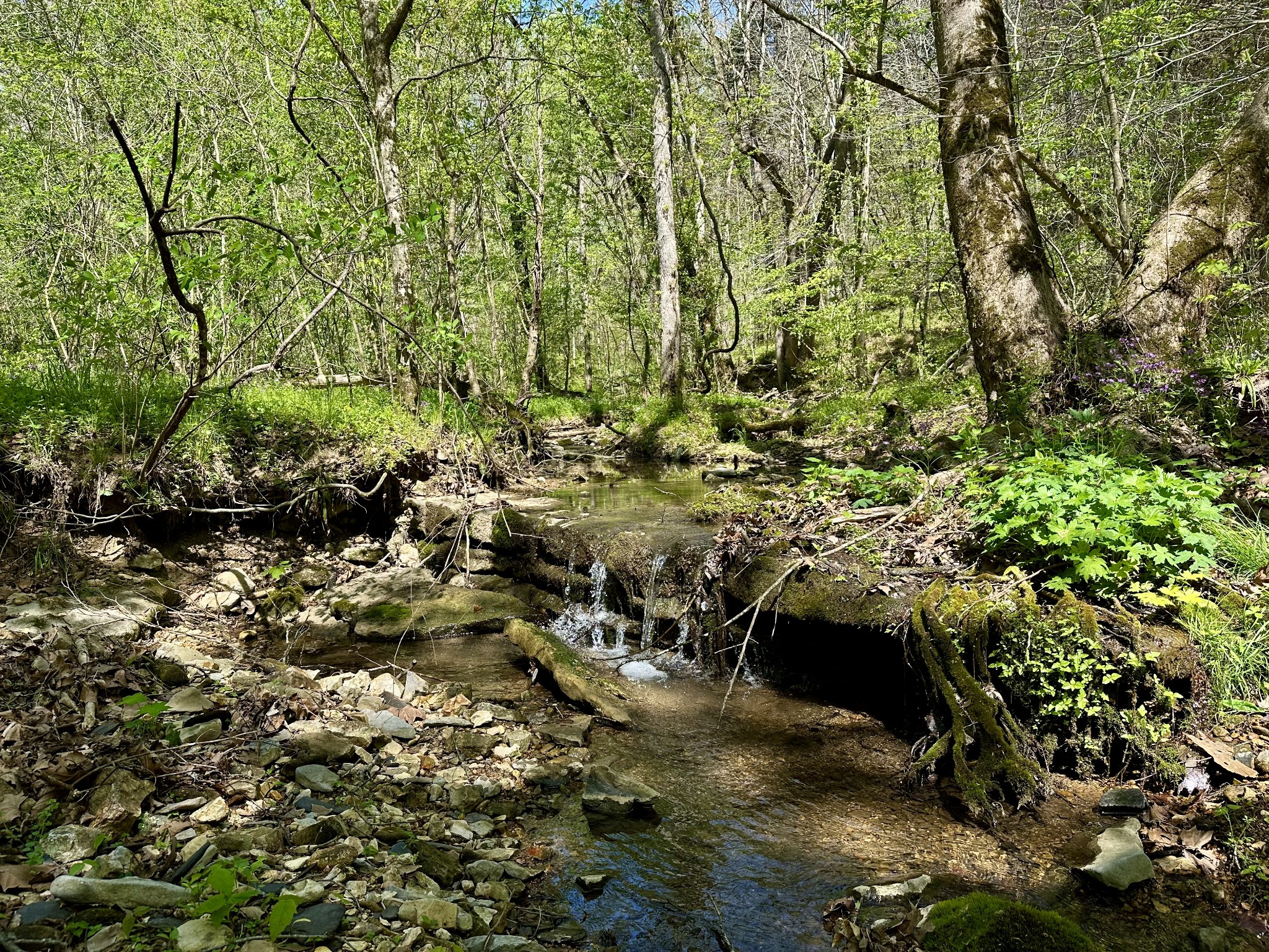 0 Ponder Road Smithville TN 37166